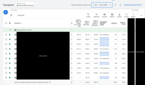 Kampania Google Ads dla gabinetu dietetycznego